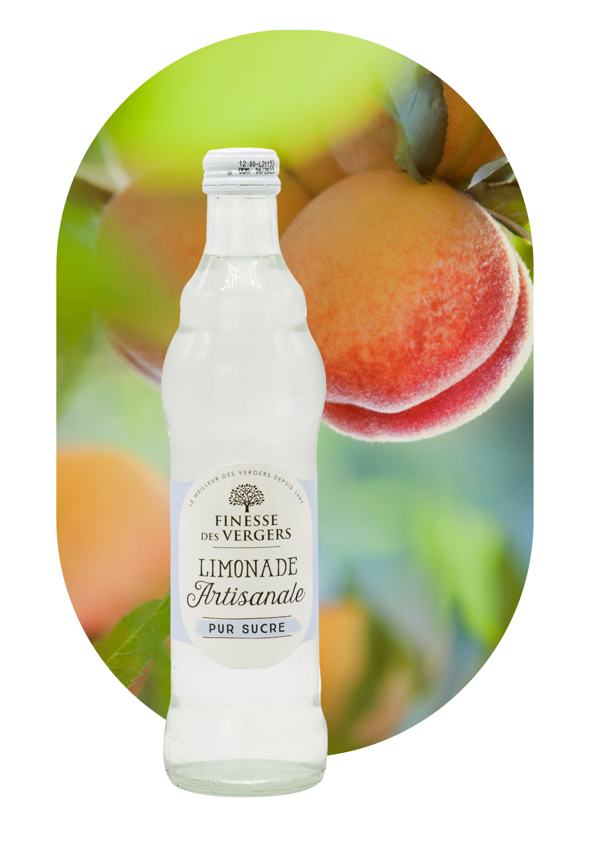 boisson-limonades
