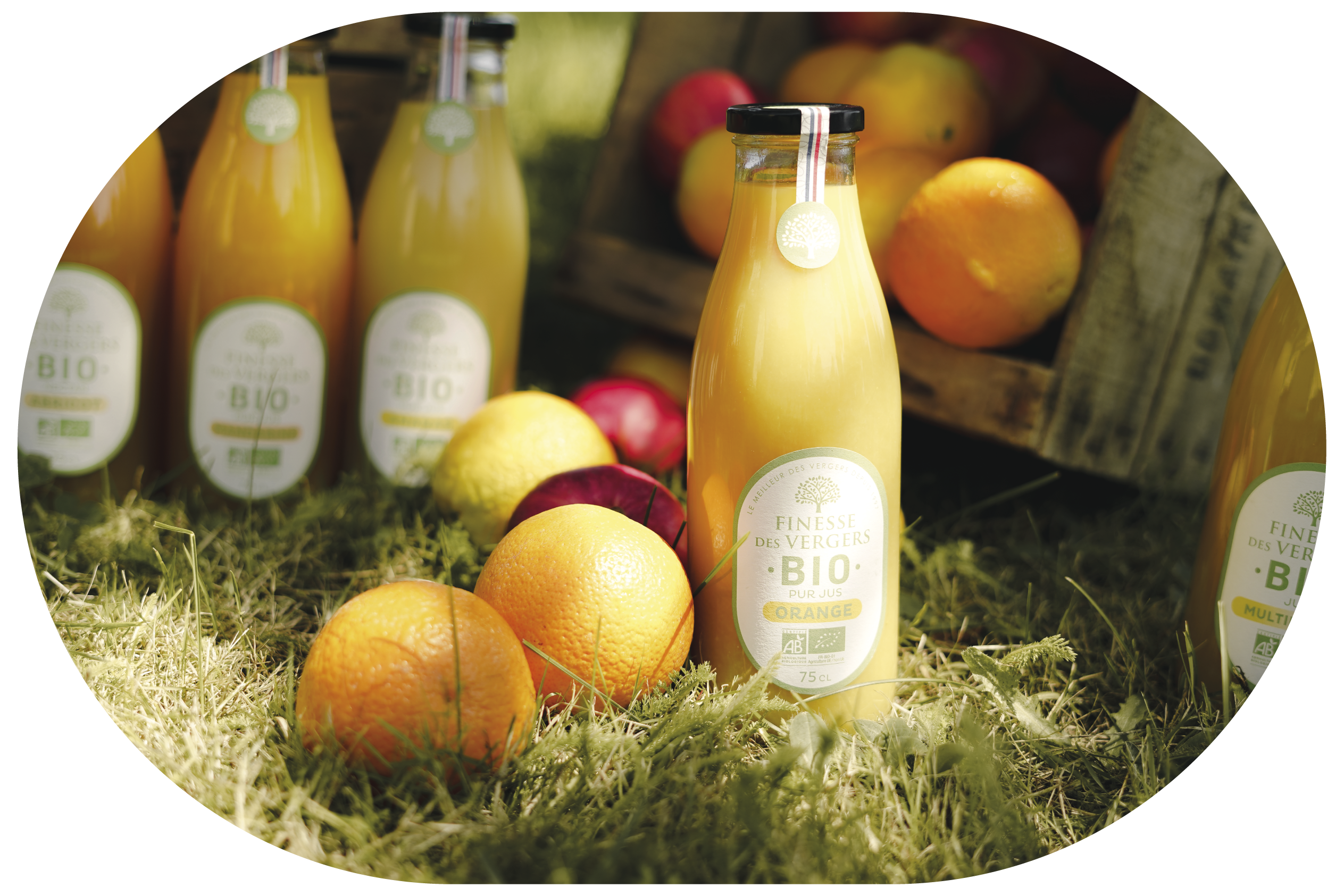 bouteilles_oranges