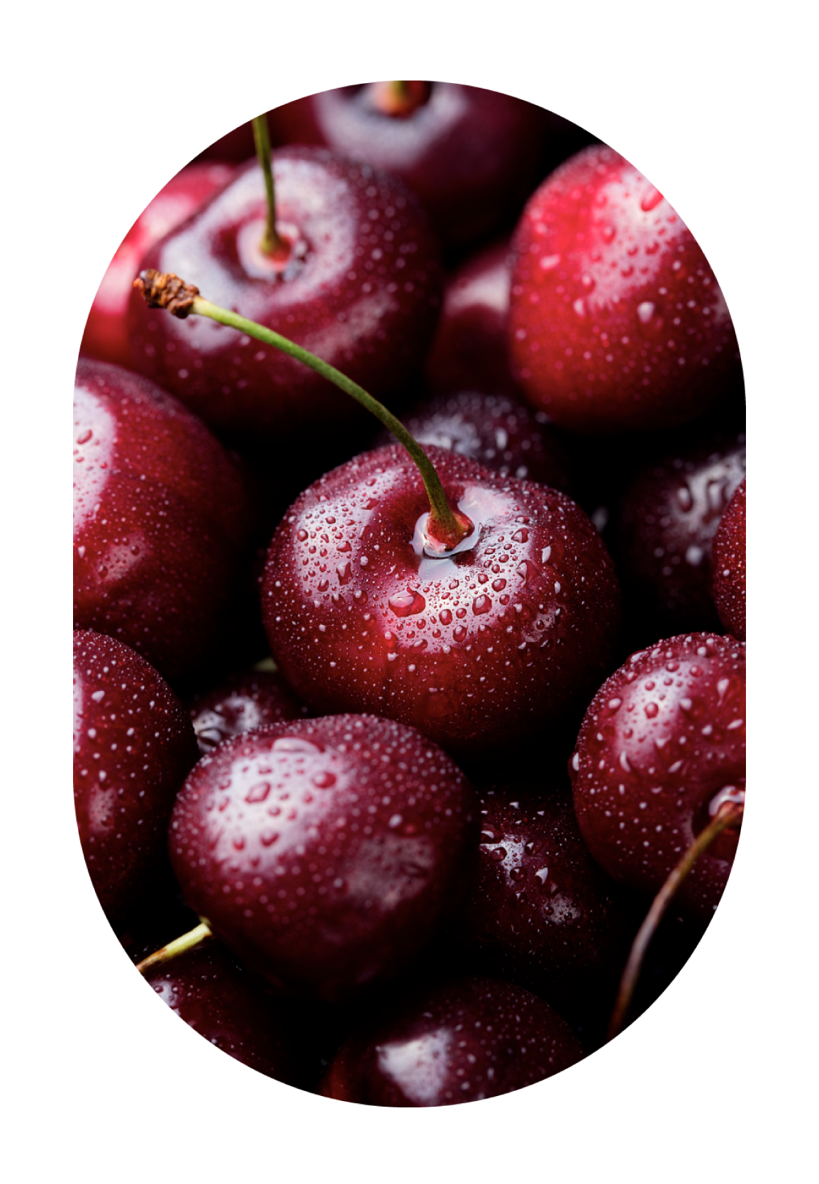 confiture_cerise