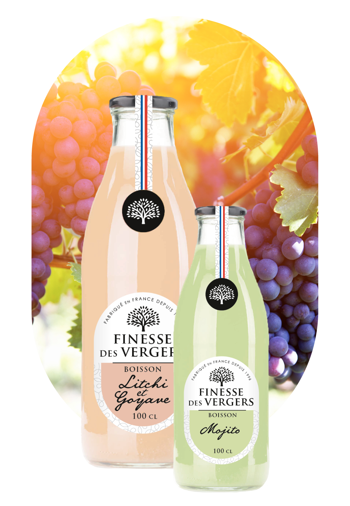 vins&sangria