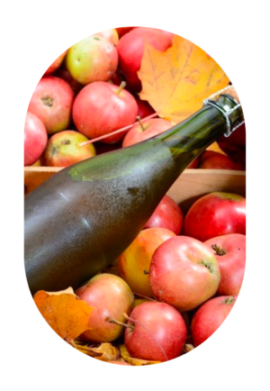Cidre Brut du Limousin